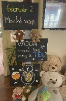 Mackó_nap_képek_a_galériában